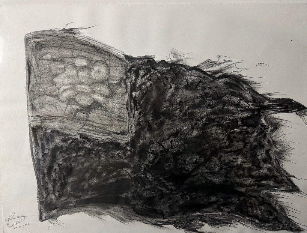 Black Flag, 2001
Bert Long
Charcoal on paper